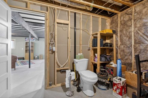 417 Frederick Avenue West, Standard, AB - Indoor Photo Showing Basement