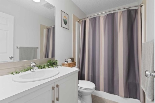 169 Buckskin Way, Cochrane, AB - Indoor Photo Showing Bathroom
