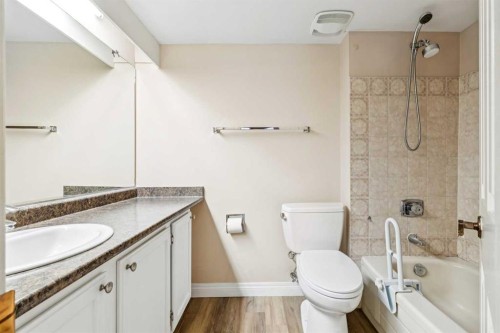 105-2425 90 Avenue Sw, Calgary, AB - Indoor Photo Showing Bathroom