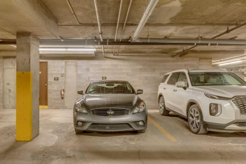 105-2425 90 Avenue Sw, Calgary, AB - Indoor Photo Showing Garage