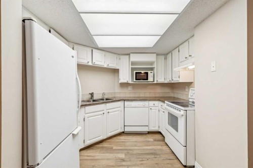 105-2425 90 Avenue Sw, Calgary, AB - Indoor Photo Showing Kitchen With Double Sink
