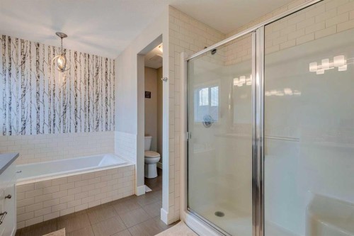 75 Masters Rise Se, Calgary, AB - Indoor Photo Showing Bathroom