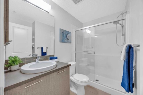 3115-175 Silverado Boulevard Sw, Calgary, AB - Indoor Photo Showing Bathroom