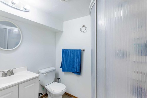 13 Mt. Aberdeen Manor Se, Calgary, AB - Indoor Photo Showing Bathroom
