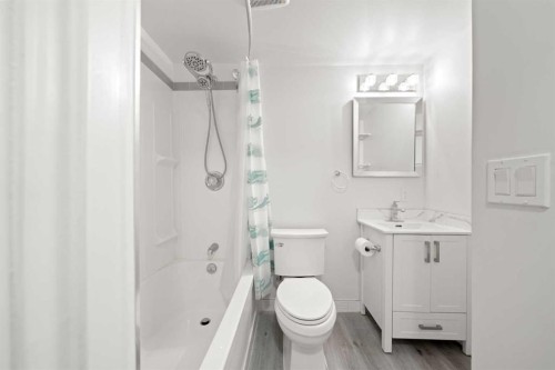 115 Mahogany Way Se, Calgary, AB - Indoor Photo Showing Bathroom