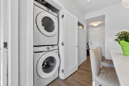 402-500 Auburn Meadows Common Se, Calgary, AB - Indoor Photo Showing Laundry Room