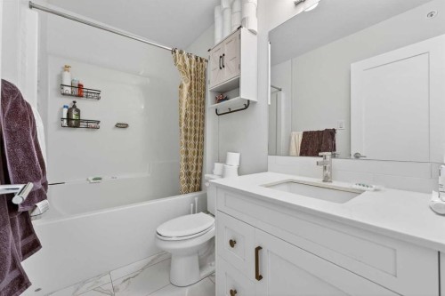 402-500 Auburn Meadows Common Se, Calgary, AB - Indoor Photo Showing Bathroom