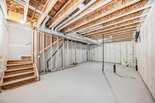 74-351 Monteith Drive Se, High River, AB - Indoor Photo Showing Basement