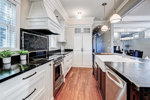 1707 Bowness Road Nw, Calgary, AB - Indoor Photo Showing Kitchen With Double Sink With Upgraded Kitchen