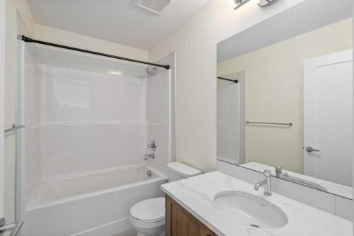 1308 South Point Parade Sw, Airdrie, AB - Indoor Photo Showing Bathroom