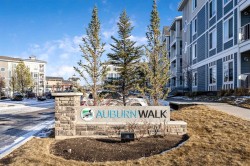207-110 Auburn Meadows View SE Calgary, AB T3M 2M2