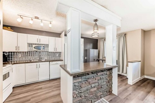 1013 Marcombe Crescent Ne, Calgary, AB - Indoor Photo Showing Kitchen With Double Sink With Upgraded Kitchen
