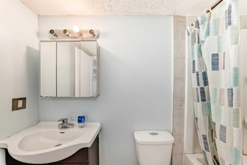151F Pinehill Road Ne, Calgary, AB - Indoor Photo Showing Bathroom