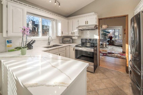 111 Edforth Place Nw, Calgary, AB - Indoor Photo Showing Kitchen With Double Sink