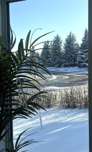 1414 Shawnee Drive, Calgary, AB - Outdoor With View