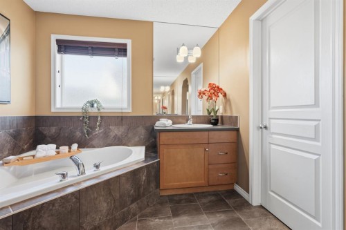 166 Cranridge Terrace Se, Calgary, AB - Indoor Photo Showing Bathroom