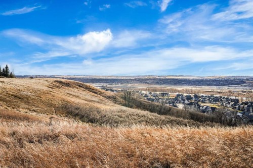 166 Cranridge Terrace Se, Calgary, AB - Outdoor With View
