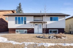 84 Big Springs Hill SE Airdrie, AB T4A 1L3