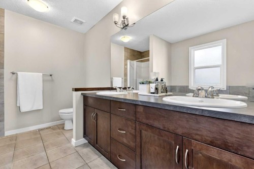401 Mahogany Court Se, Calgary, AB - Indoor Photo Showing Bathroom