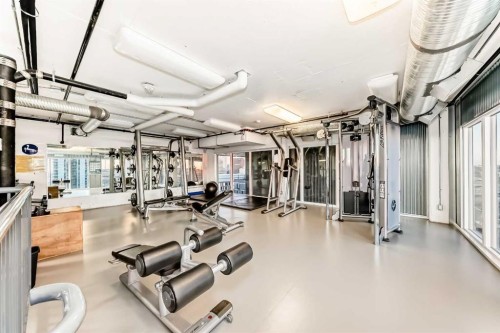310-450 8 Avenue Se, Calgary, AB - Indoor Photo Showing Gym Room
