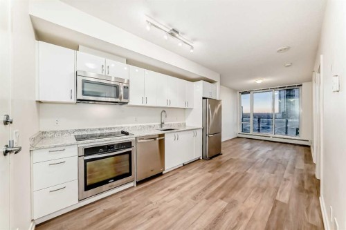 310-450 8 Avenue Se, Calgary, AB - Indoor Photo Showing Kitchen