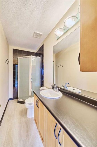 131 Arbour Wood Close Nw, Calgary, AB - Indoor Photo Showing Bathroom