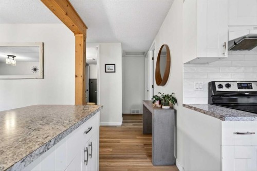 10 Deer Lane Bay Se, Calgary, AB - Indoor Photo Showing Kitchen With Upgraded Kitchen