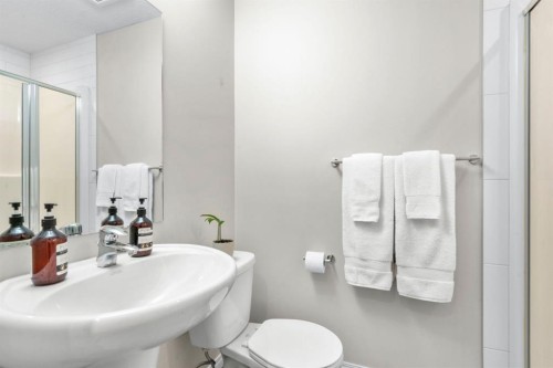 2001-280 Williamstown Close Nw, Airdrie, AB - Indoor Photo Showing Bathroom