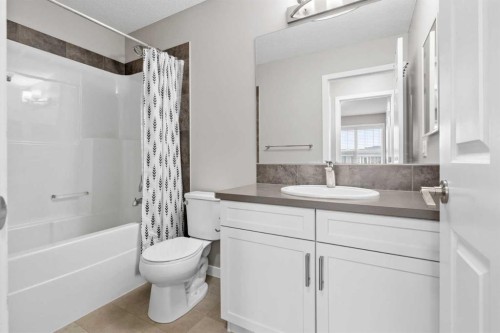368 Redstone Drive Ne, Calgary, AB - Indoor Photo Showing Bathroom