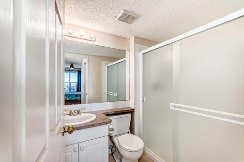 111-6900 Hunterview Drive Nw, Calgary, AB - Indoor Photo Showing Bathroom