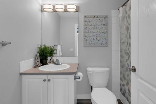 103 Canoe Square Sw, Airdrie, AB - Indoor Photo Showing Bathroom