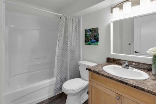 103 Canoe Square Sw, Airdrie, AB - Indoor Photo Showing Bathroom