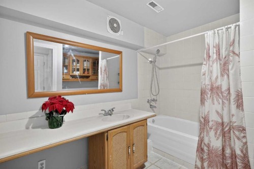 3503 42 Street Ne, Calgary, AB - Indoor Photo Showing Bathroom