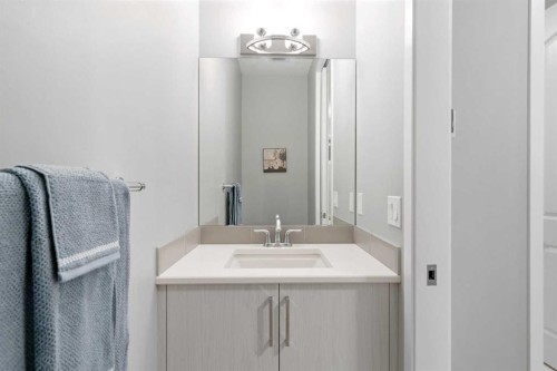 43 Seton Rise Se, Calgary, AB - Indoor Photo Showing Bathroom