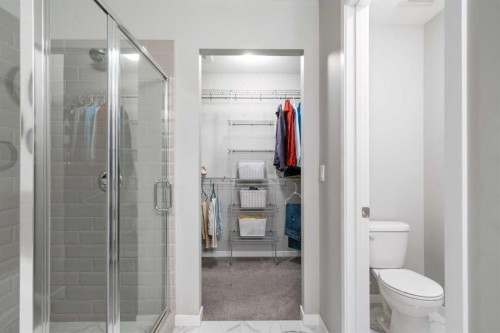 43 Seton Rise Se, Calgary, AB - Indoor Photo Showing Bathroom