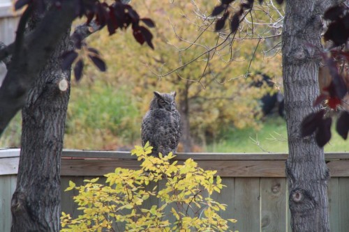 37 Thomas Street Nw, Langdon, AB - Outdoor With View