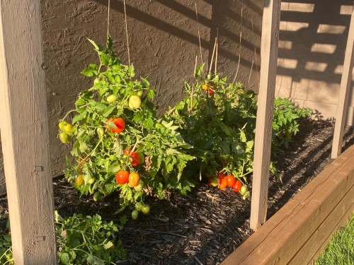 37 Thomas Street Nw, Langdon, AB -  Photo Showing Other Room