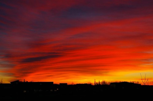 37 Thomas Street Nw, Langdon, AB - Outdoor With View