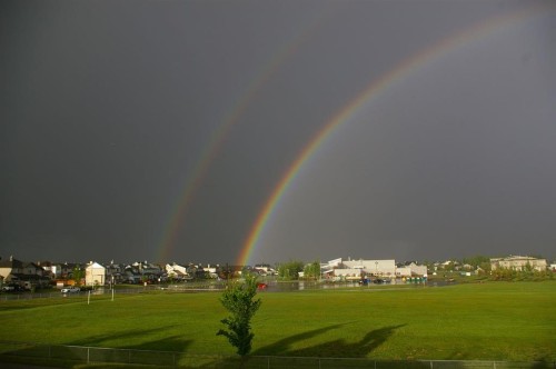 37 Thomas Street Nw, Langdon, AB - Outdoor With View