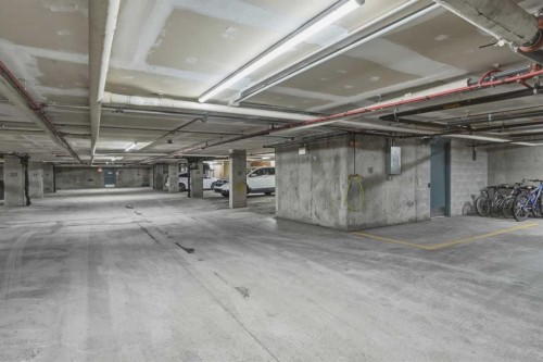 302-3 Somervale View Sw, Calgary, AB - Indoor Photo Showing Garage