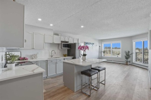302-3 Somervale View Sw, Calgary, AB - Indoor Photo Showing Kitchen With Upgraded Kitchen