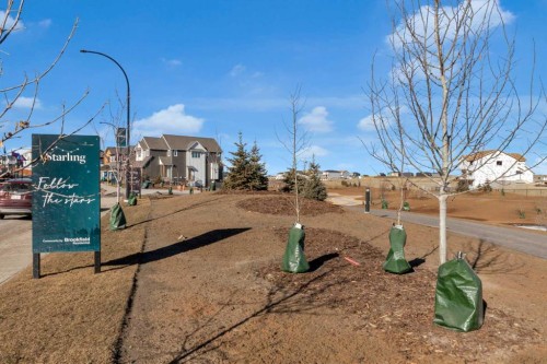 200 Starling Place Nw, Calgary, AB - Outdoor