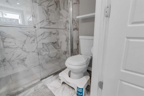 142 Red Embers Gate Ne, Calgary, AB - Indoor Photo Showing Bathroom