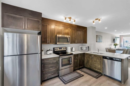 142 Red Embers Gate Ne, Calgary, AB - Indoor Photo Showing Kitchen With Stainless Steel Kitchen With Double Sink