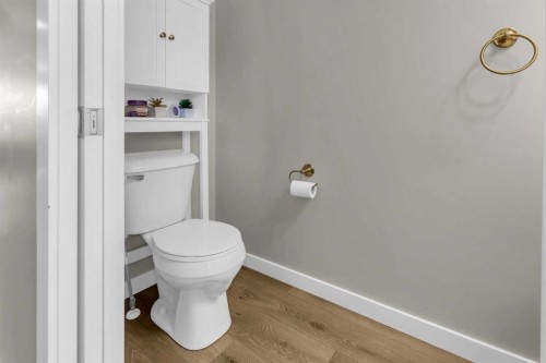 142 Red Embers Gate Ne, Calgary, AB - Indoor Photo Showing Bathroom