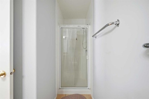 311 Saddlecreek Point Ne, Calgary, AB - Indoor Photo Showing Bathroom