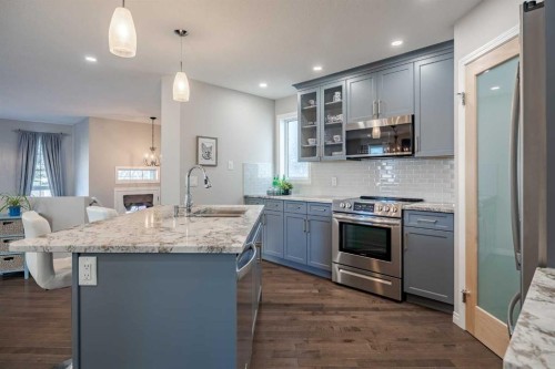 41 Covebrook Close Ne, Calgary, AB - Indoor Photo Showing Kitchen With Stainless Steel Kitchen With Upgraded Kitchen