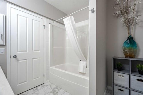 41 Covebrook Close Ne, Calgary, AB - Indoor Photo Showing Bathroom