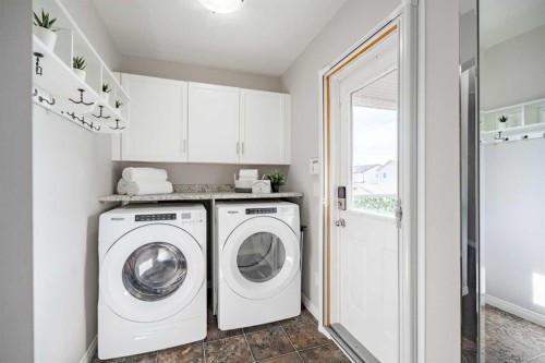 41 Covebrook Close Ne, Calgary, AB - Indoor Photo Showing Laundry Room