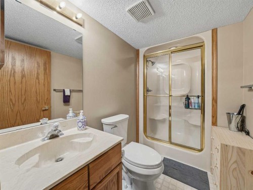 12 Deer Ridge Close Se, Calgary, AB - Indoor Photo Showing Bathroom